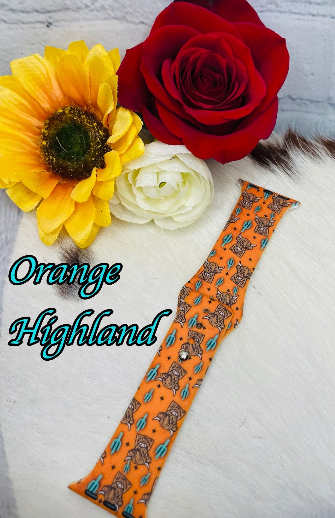 Apple Watch Bands